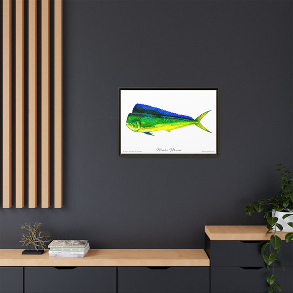 Mahi Mahi Framed Canvas Fish Art Print