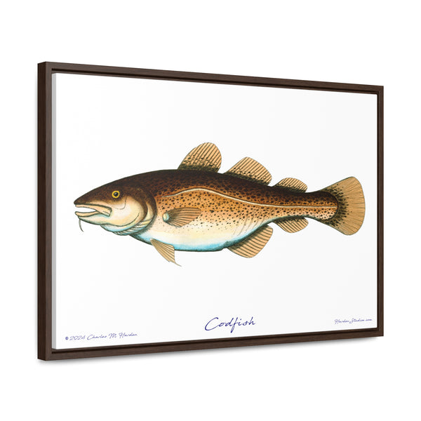 Framed Codfish Canvas Fish Fishing Wall Art Print with Free Shipping