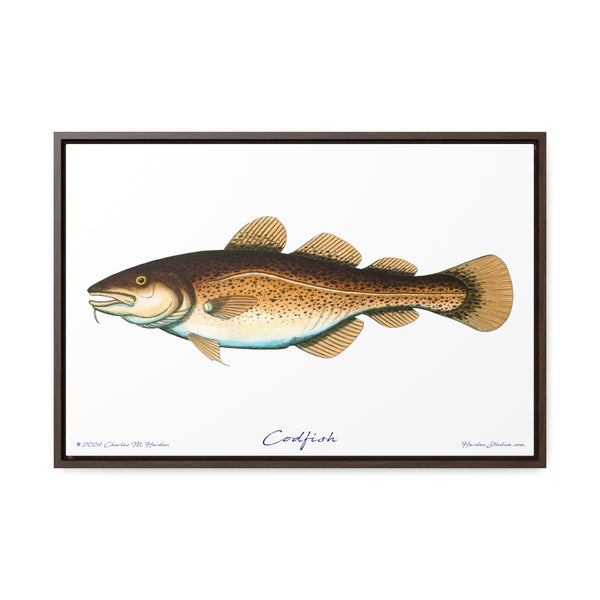 Framed Codfish Canvas Fish Fishing Wall Art Print with Free Shipping