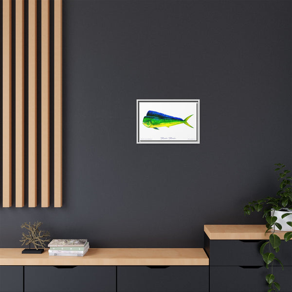 Mahi Mahi Framed Canvas Fish Art Print