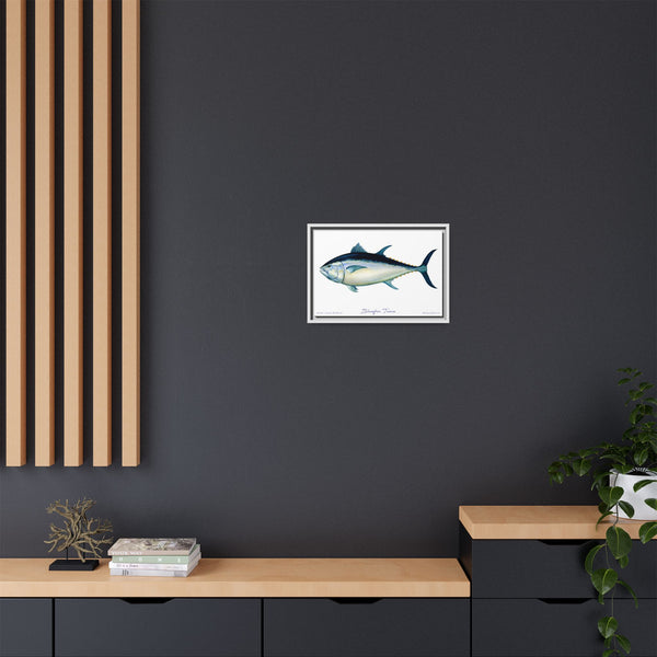 Bluefin Tuna Framed Canvas Fish Art Print