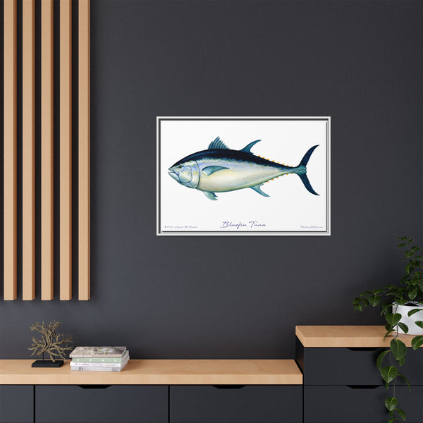 Bluefin Tuna Framed Canvas Fish Art Print