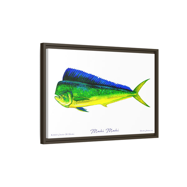 Mahi Mahi Framed Canvas Fish Art Print