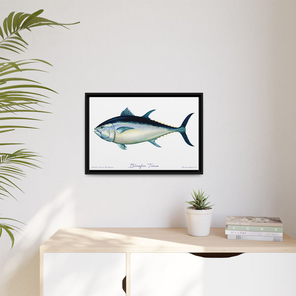 Bluefin Tuna Framed Canvas Fish Art Print