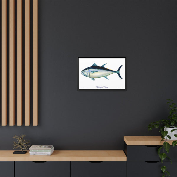 Bluefin Tuna Framed Canvas Fish Art Print