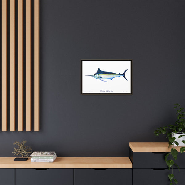 Framed Blue Marlin Canvas Fish Wall Art Print by Charles Harden