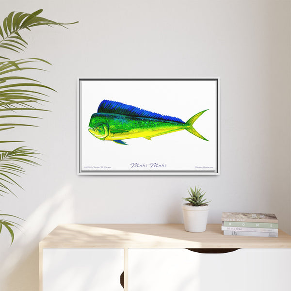 Mahi Mahi Framed Canvas Fish Art Print