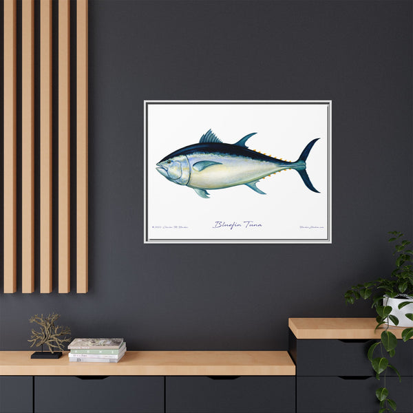 Bluefin Tuna Framed Canvas Fish Art Print