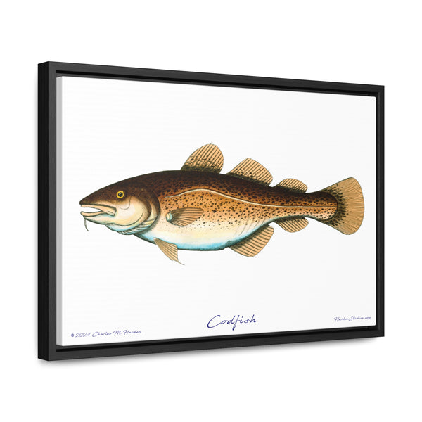 Framed Codfish Canvas Fish Fishing Wall Art Print with Free Shipping