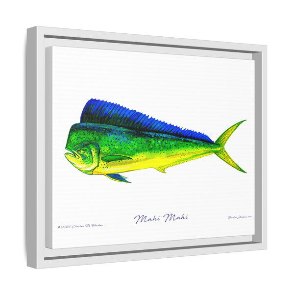 Mahi Mahi Framed Canvas Fish Art Print