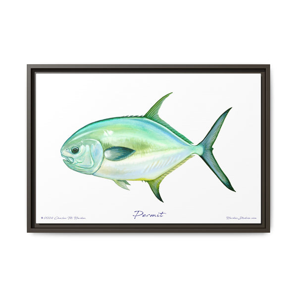 Framed Permit Canvas Fish Fishing Wall Art Print