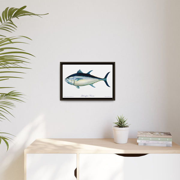 Bluefin Tuna Framed Canvas Fish Art Print