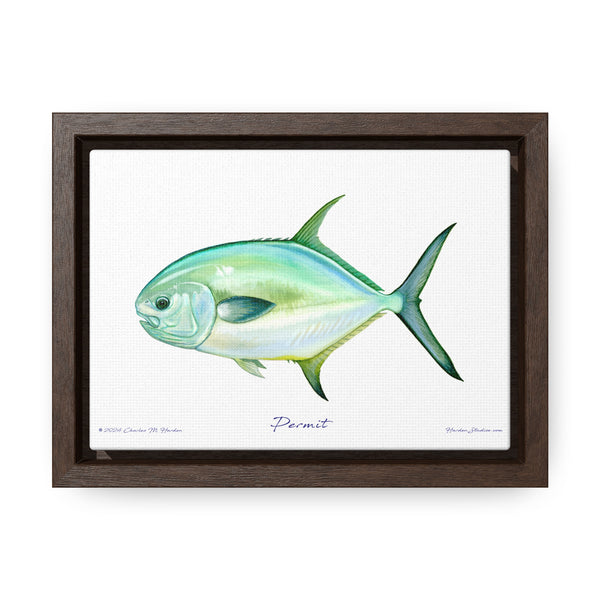 Framed Permit Canvas Fish Fishing Wall Art Print with Free Shipping