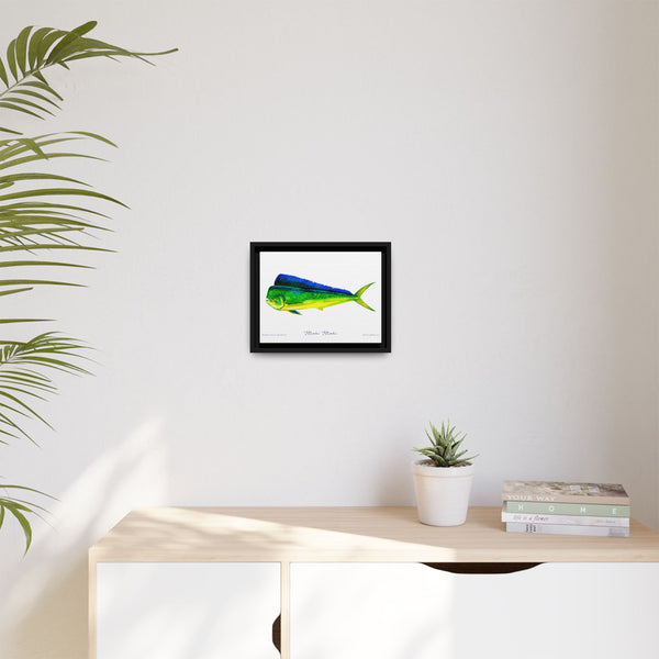 Mahi Mahi Framed Canvas Fish Art Print