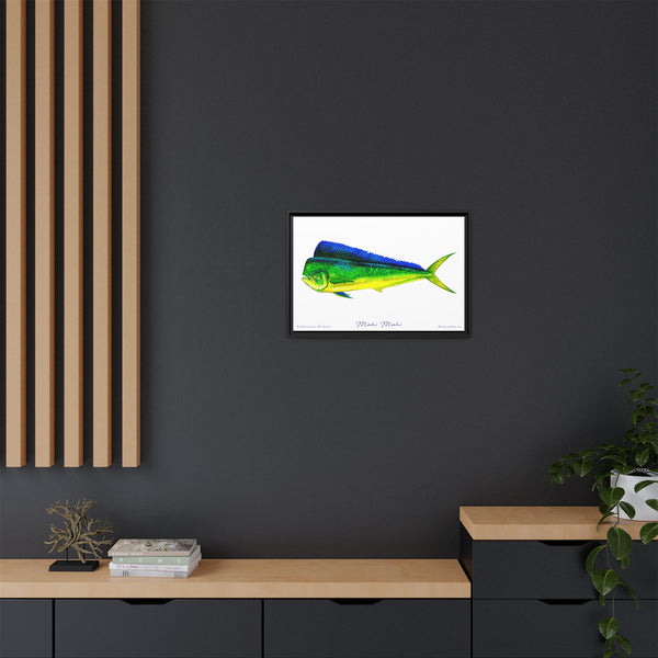 Mahi Mahi Framed Canvas Fish Art Print