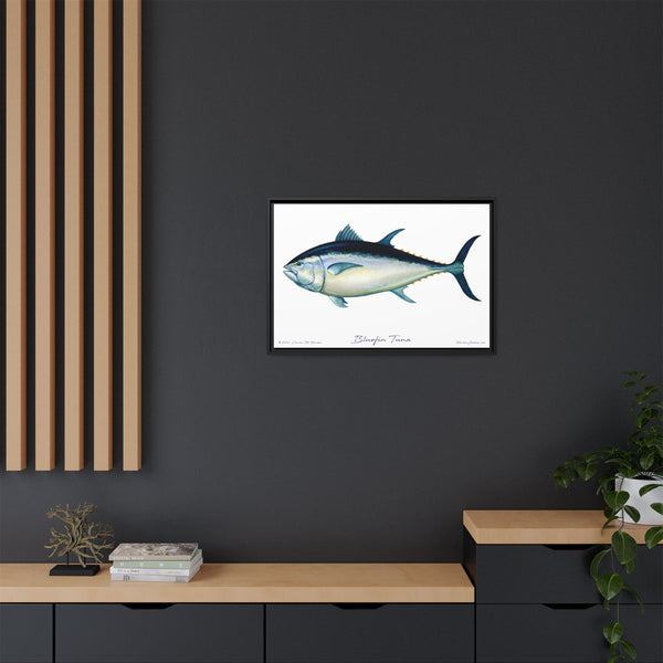 Bluefin Tuna Framed Canvas Fish Art Print