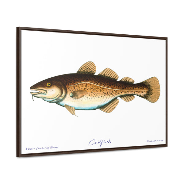 Framed Codfish Canvas Fish Fishing Wall Art Print with Free Shipping