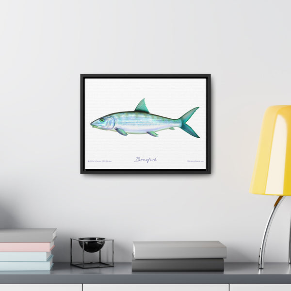 Framed Bonefish Canvas Fish Wall Art Print with Free Shipping