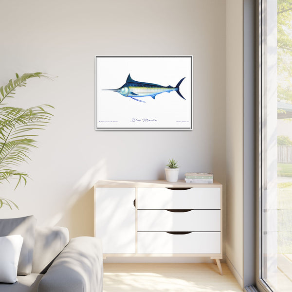 Framed Blue Marlin Canvas Fish Wall Art Print by Charles Harden