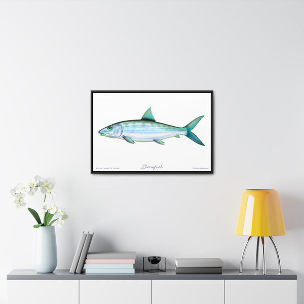 Framed Bonefish Canvas Fish Wall Art Print with Free Shipping