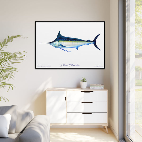 Framed Blue Marlin Canvas Fish Wall Art Print by Charles Harden