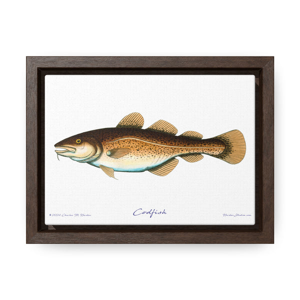 Framed Codfish Canvas Fish Fishing Wall Art Print with Free Shipping