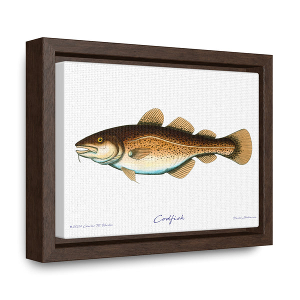 Framed Codfish Canvas Fish Fishing Wall Art Print with Free Shipping