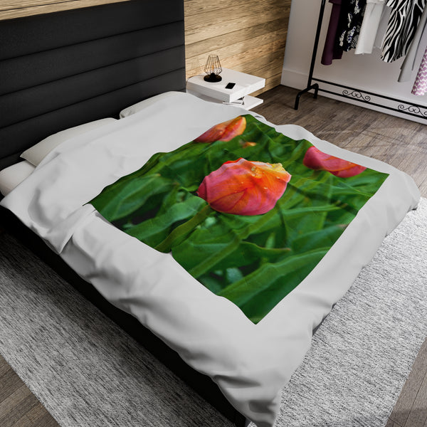 Morning Dew Tulip Garden Velveteen Plush Blanket