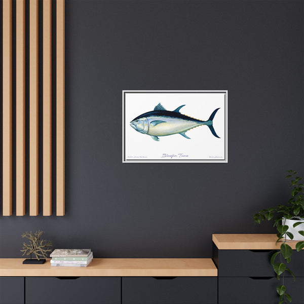 Bluefin Tuna Framed Canvas Fish Art Print