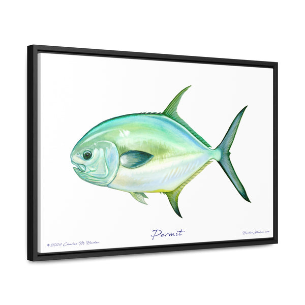 Framed Permit Canvas Fish Fishing Wall Art Print with Free Shipping