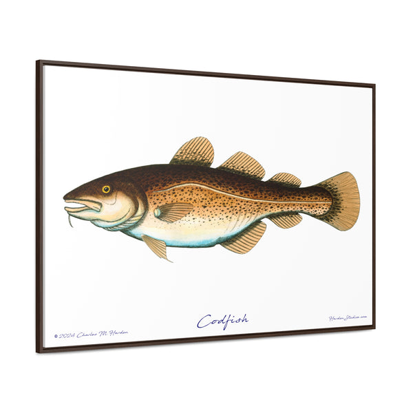 Framed Codfish Canvas Fish Fishing Wall Art Print with Free Shipping