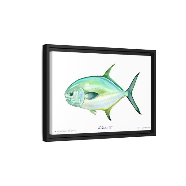 Framed Permit Canvas Fish Fishing Wall Art Print