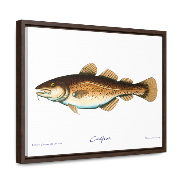 Framed Codfish Canvas Fish Fishing Wall Art Print with Free Shipping