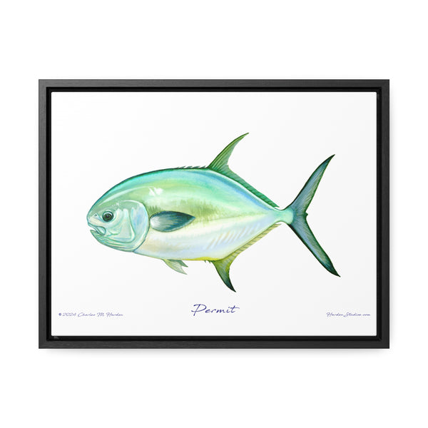 Framed Permit Canvas Fish Fishing Wall Art Print with Free Shipping