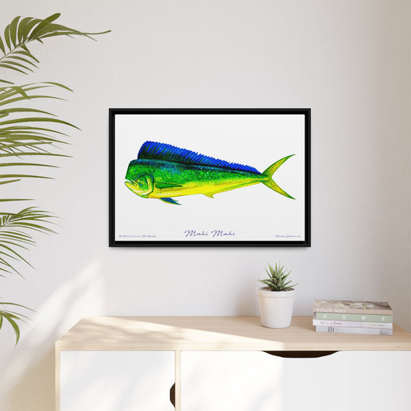 Mahi Mahi Framed Canvas Fish Art Print