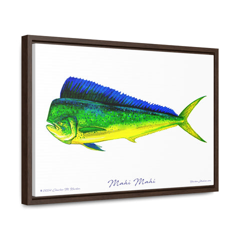 Framed Mahi Mahi Canvas Fish Wall Art Print with Free Shipping