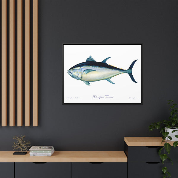 Bluefin Tuna Framed Canvas Fish Art Print