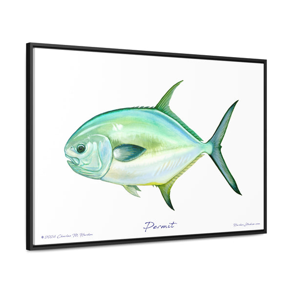 Framed Permit Canvas Fish Fishing Wall Art Print with Free Shipping