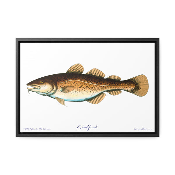 Framed Codfish Canvas Fish Fishing Wall Art Print with Free Shipping