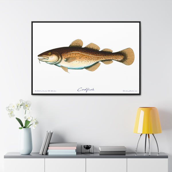 Framed Codfish Canvas Fish Fishing Wall Art Print with Free Shipping