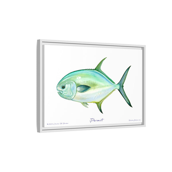 Framed Permit Canvas Fish Fishing Wall Art Print