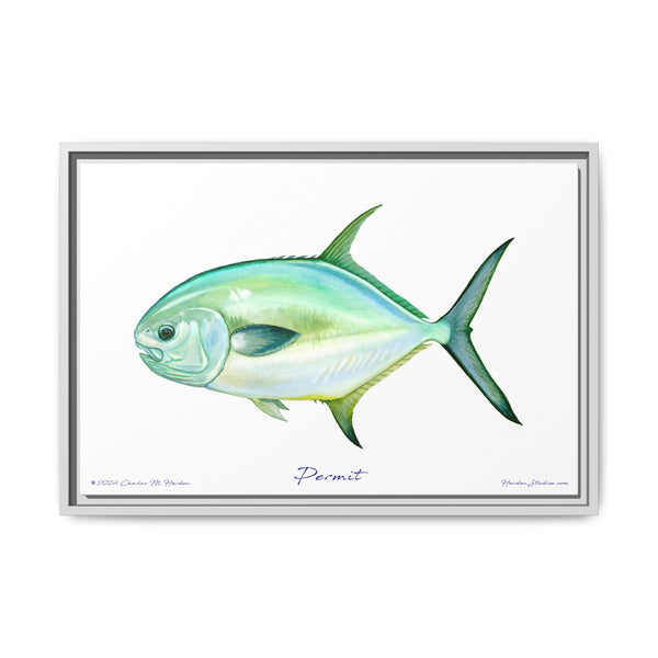 Framed Permit Canvas Fish Fishing Wall Art Print