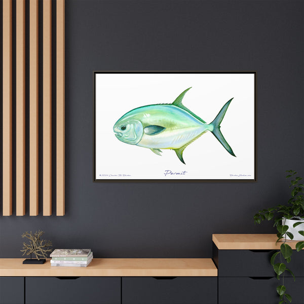 Framed Permit Canvas Fish Fishing Wall Art Print