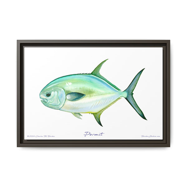 Framed Permit Canvas Fish Fishing Wall Art Print