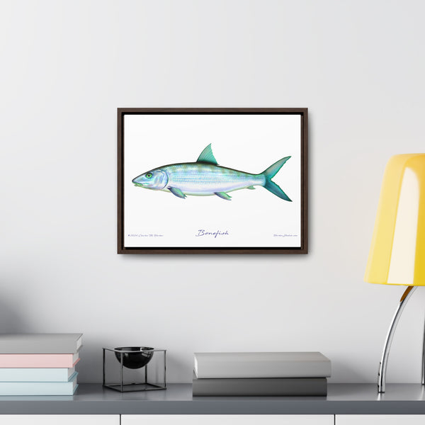 Framed Bonefish Canvas Fish Wall Art Print with Free Shipping