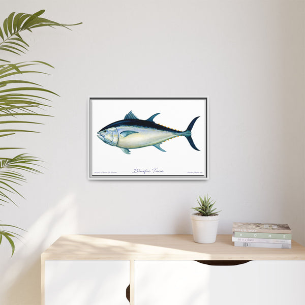 Bluefin Tuna Framed Canvas Fish Art Print