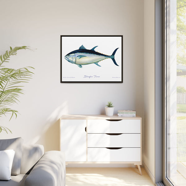 Bluefin Tuna Framed Canvas Fish Art Print