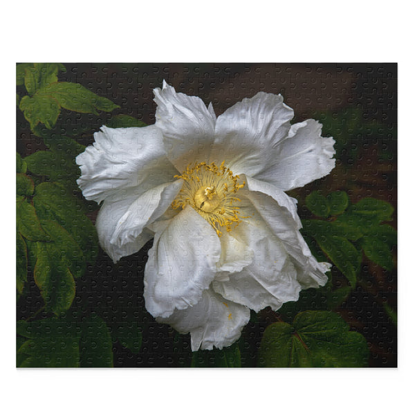 Peony Puzzle 2 (120, 252, 500-Piece)