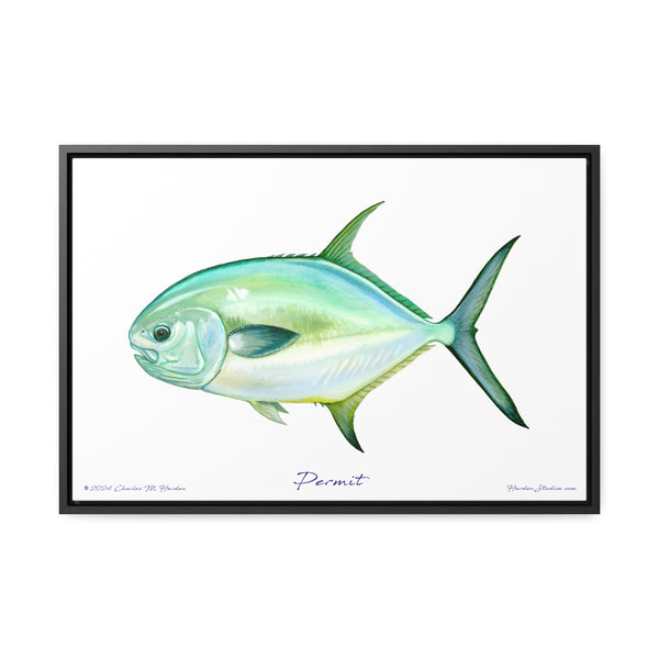 Framed Permit Canvas Fish Fishing Wall Art Print with Free Shipping