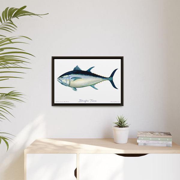 Bluefin Tuna Framed Canvas Fish Art Print